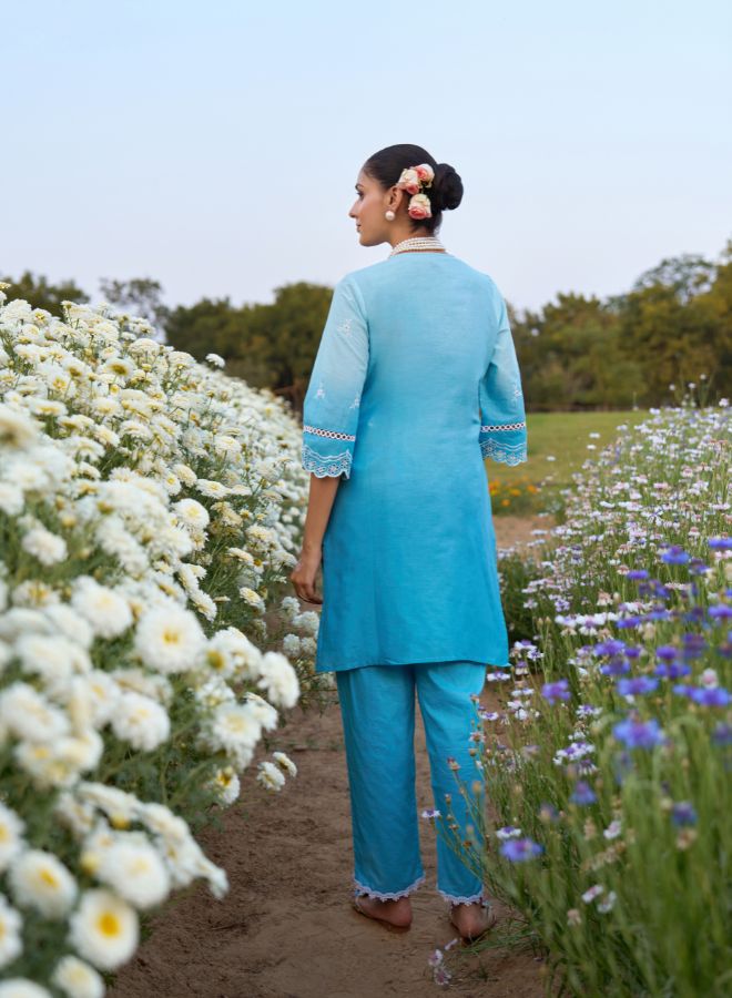 Blue Embroidered Co-ord Set. Elegant & Festive Ethnic Wear