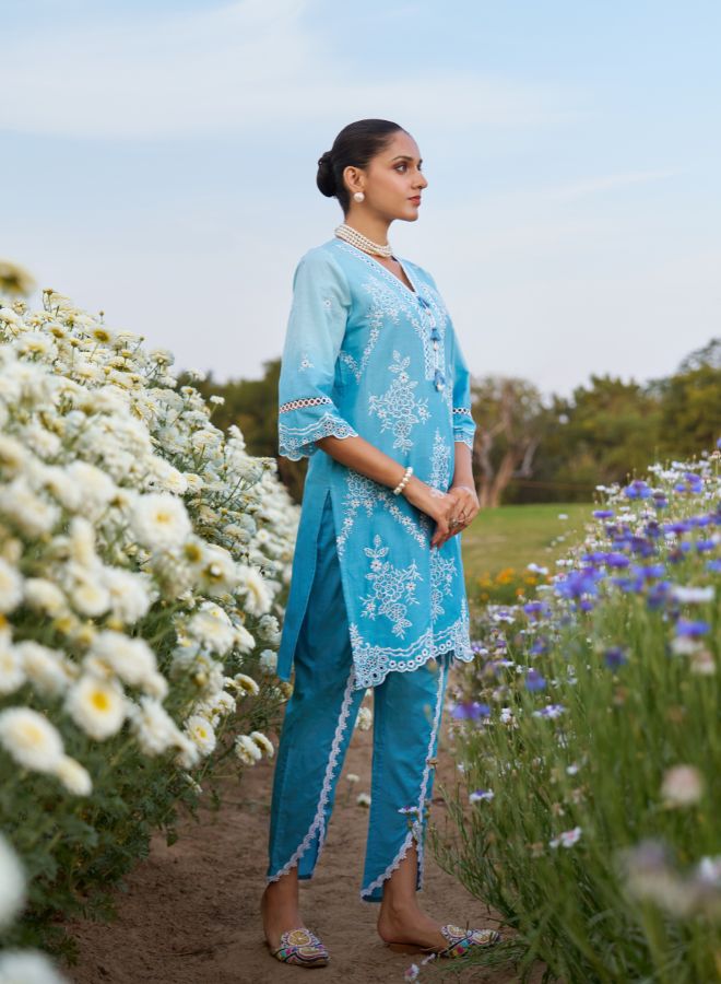Blue Embroidered Co-ord Set. Elegant & Festive Ethnic Wear