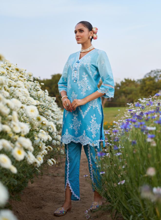Blue Embroidered Co-ord Set. Elegant & Festive Ethnic Wear
