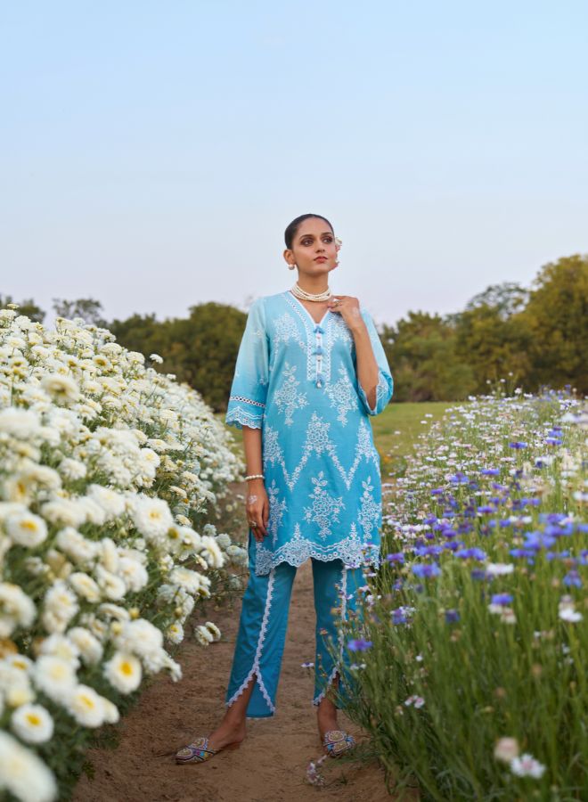 Blue Embroidered Co-ord Set. Elegant & Festive Ethnic Wear
